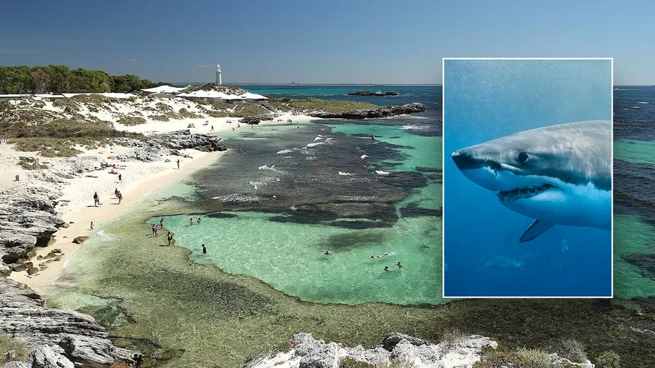 man-dies-after-attack-by-13-foot-great-white-shark-near-popular-island-resort:-officials